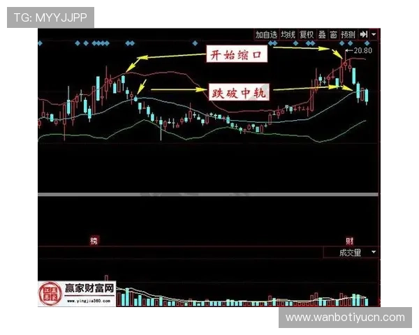 b0b体育数据分析与比赛预测技巧提升你的投注胜率与盈利能力 b0b体育数据分析与比赛预测技巧提升你的投注胜率与盈利能力