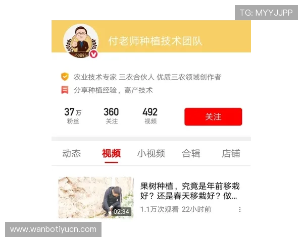 万博体彩官网入口查询：用户常遇到的问题及解决方案全攻略