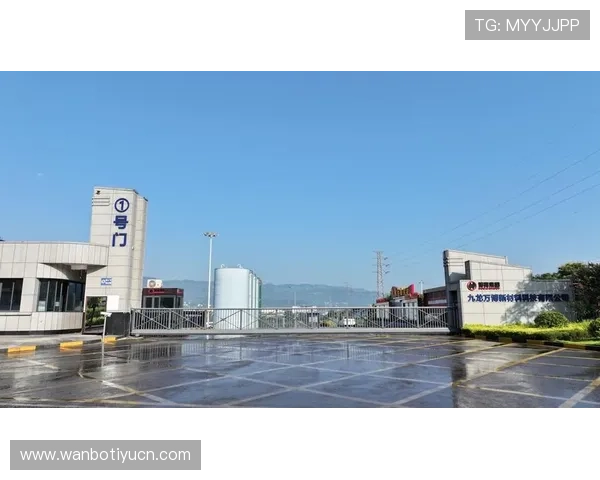 万州万博集团在产业升级中的创新实践与可持续发展路径探索