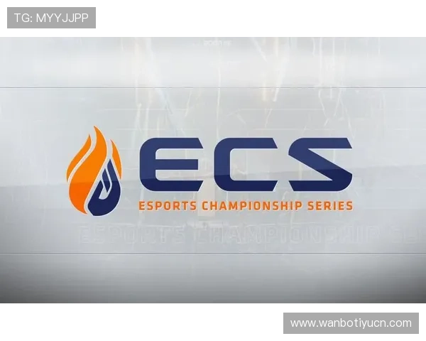 大电竞esports品牌建设与市场推广的有效方法总结